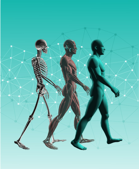 BIOGAIT Biomechanical Study