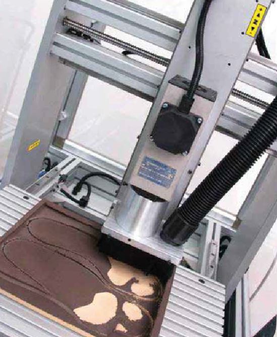 BIOGAIT Biomechanical Study