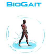 biomechanical cycling laboratory report